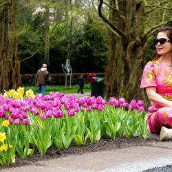 Una mujer sentada junto a flores de tulipanes mientras visita los jardines Keukenhof en Lisse, Holanda occidental, después de que el jardín de tulipanes más grande del mundo se abriera al público en su 75ª edición. | Foto:Nick Gammon / AFP