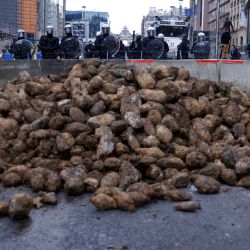 Agentes de la policía antidisturbios hacen guardia cerca de patatas arrojadas por agricultores que se manifestaban con motivo de una reunión de ministros de agricultura de la UE en Bruselas. | Foto:KENZO TRIBOUILLARD / AFP