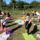 Yoga Entre Caballos: Una Experiencia Para Conectar con la Naturaleza