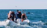 Así será la expedición de National Geographic para estudiar a la ballena Sei en Chubut