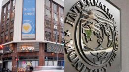 Anses y FMI