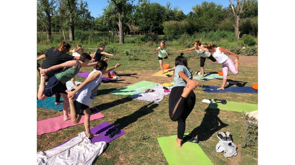 Yoga Entre Caballos: Una Experiencia Para Conectar con la Naturaleza