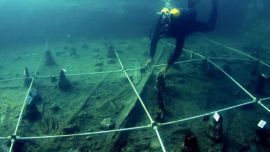 Fueron encontradas por buzos.