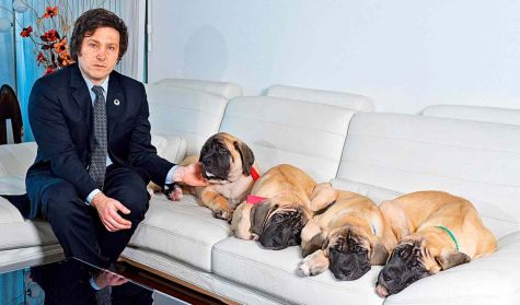 Milei y sus perros clonados
