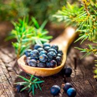 Conocé y emprendé en cosmética natural y vegana. Incorporate a nuestro equipo de ventas