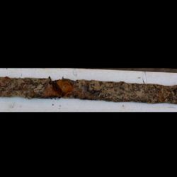 La espada encontrada data de la era pre-vikinga.