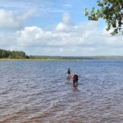 El hallazgo tuvo lugar en el lago Vidöstern, Suecia.