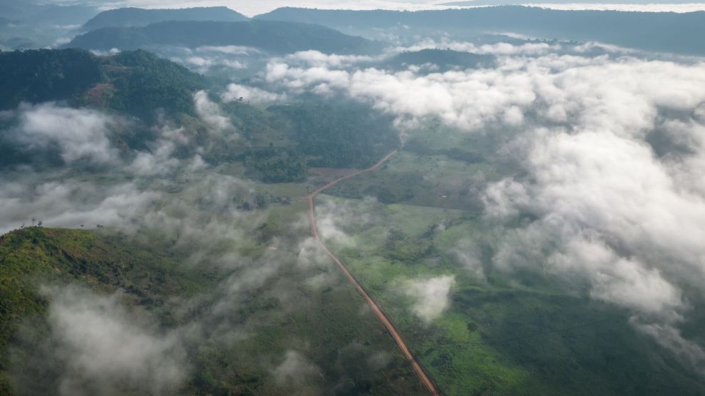 Amazon Rainforest Is Being Destroyed At Fastest Pace In 15 Years 