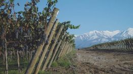 productores argentinos