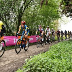 El grupo de ciclistas recorre en bicicleta el sector adoquinado cerca de Orchies durante la cuarta edición de la carrera ciclista clásica femenina de un día París-Roubaix, 148,5 km entre Denain y Roubaix. | Foto:Francois Lo Presti / AFP