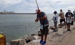 Tras 12 años, vuelven los provinciales de pesca a Mar del Plata