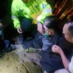 Todos los pingüinos fueron trasladados al Centro de Rescate de Fundación Mundo Marino.