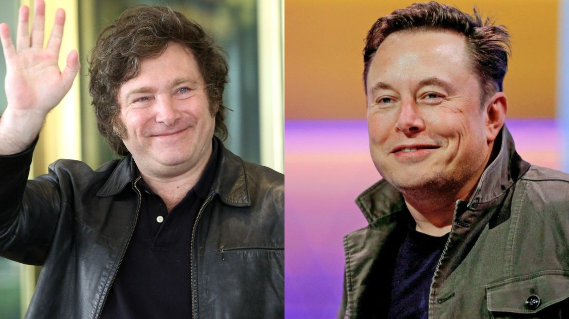 Javier Milei and Elon Musk.
