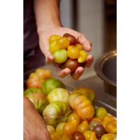 ALMA restaurant recibe a Alcanfor en una noche para disfrutar de sabores únicos