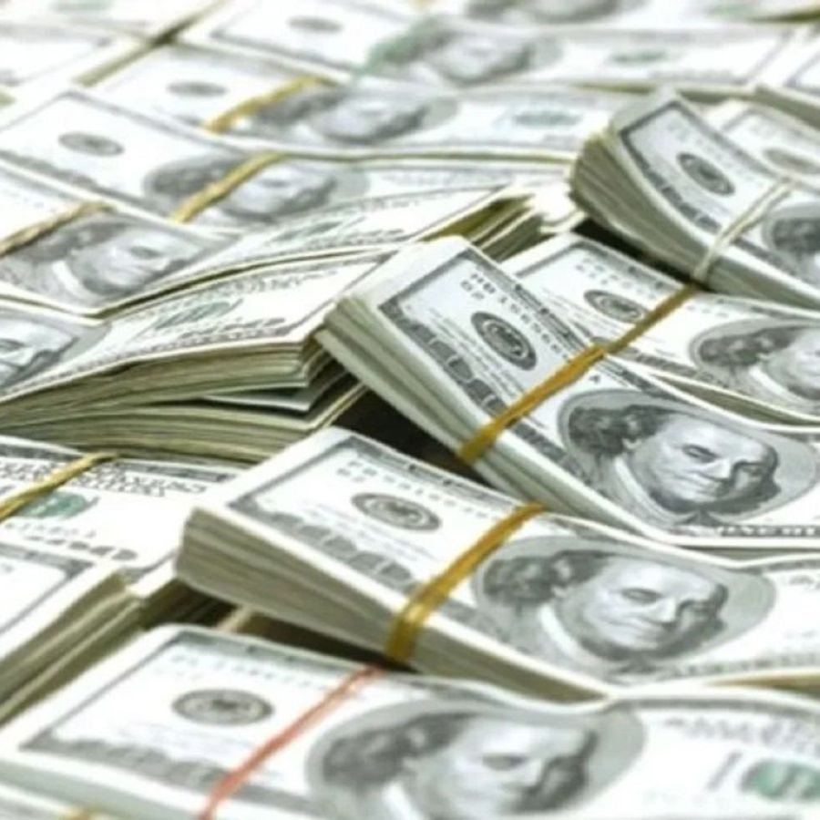 Cuáles son las opciones que se evalúan para dolarizar en el