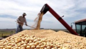 Desde el agro aseguran que, "el problema son las cargas impositivas entre Nación, provincia y municipios”