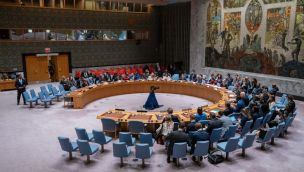 Consejo de Seguridad de la ONU 20240414