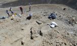 Científicos argentinos descubren los restos de un milenario titanosaurio en Chubut
