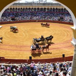 Los participantes en carruajes participan en la exposición 'Enganches' en la plaza de toros de la Real Maestranza de Sevilla durante el festival 'Feria de Sevilla'. | Foto:CRISTINA QUICLER / AFP