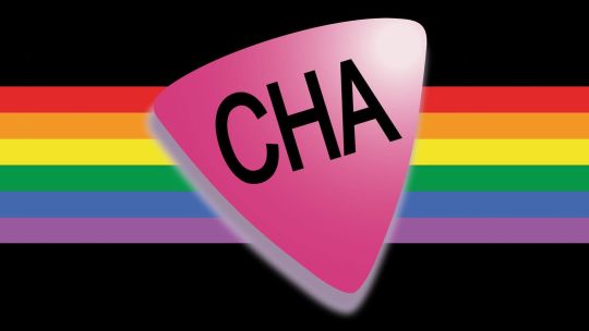 La Comunidad Homosexual Argentina celebra 40 años de su creación