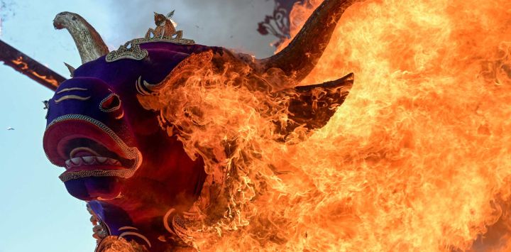 Un sarcófago que representa una vaca violeta arde durante la ceremonia de cremación de Tjokorda Bagus Santaka, un miembro de la familia real de Ubud que falleció en febrero, en Ubud, en la isla de Bali.