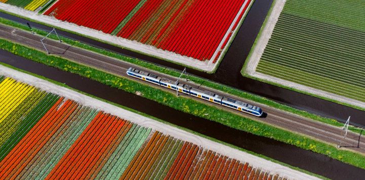 Imagen aérea tomada con un dron de campos de tulipanes, en Lisse, Países Bajos.
