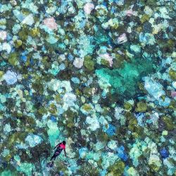 Esta fotografía aérea muestra a turistas haciendo snorkel sobre corales blanqueados y muertos alrededor de la isla Lizard en la Gran Barrera de Coral, ubicada a 270 kilómetros (167 millas) al norte de la ciudad de Cairns. La famosa Gran Barrera de Coral de Australia está al borde del abismo, sufriendo uno de los eventos de blanqueamiento de corales más graves jamás registrados (el quinto en ocho años) y dejando a los científicos inseguros sobre su supervivencia. | Foto:DAVID GREY / AFP