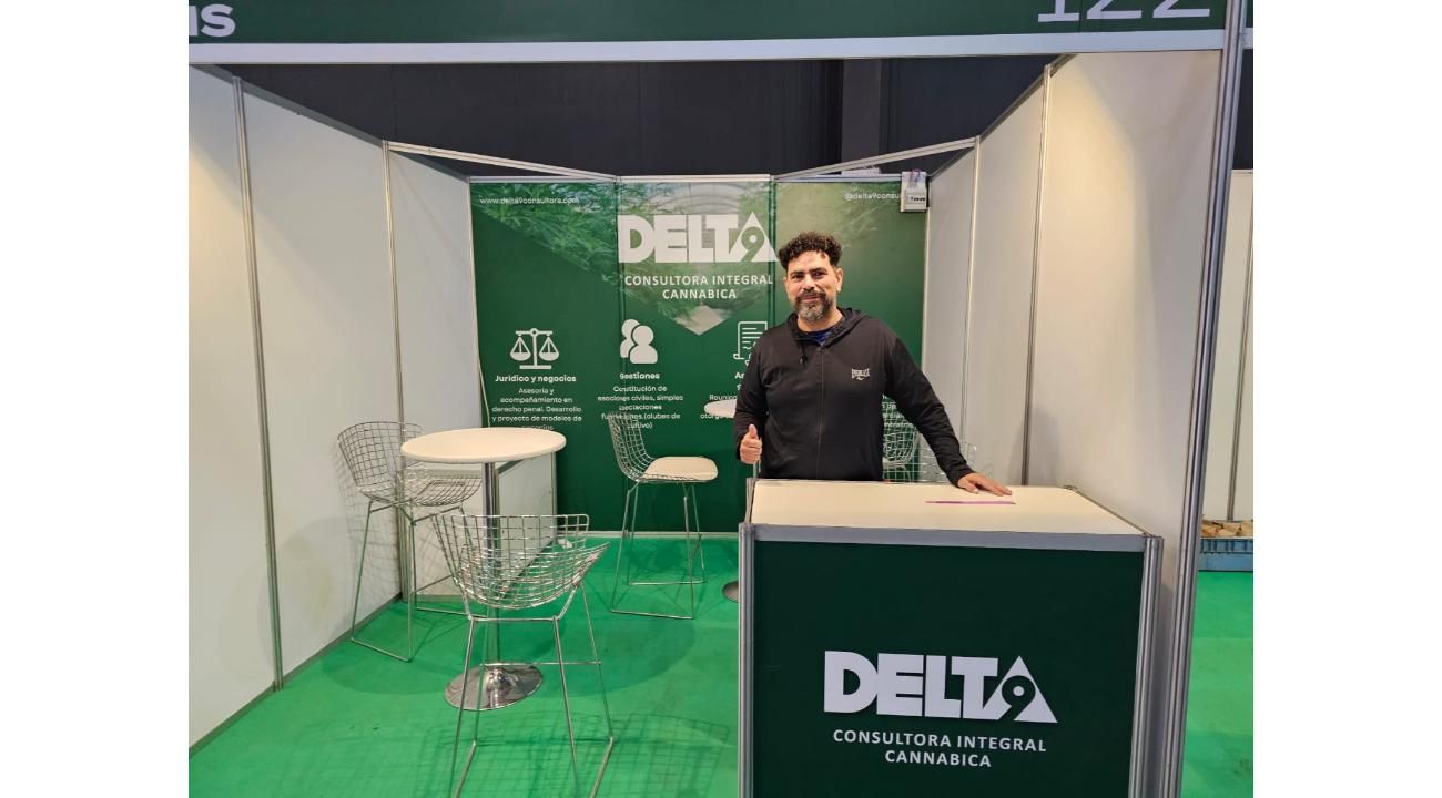 Delta 9 Consultora