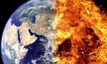 Alerta mundial: afirman que ya comenzó la sexta extinción masiva de la Tierra  