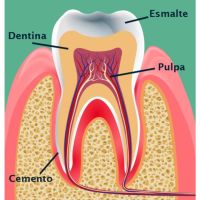 Conocé de la mano de la Dra. Karina Pugliese de Araoz Dental los mejores Tips para Proteger tus Dientes del Desgaste Dental