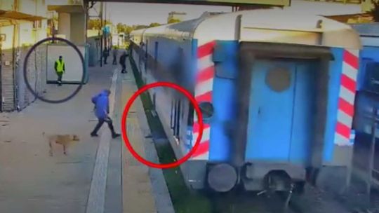 Una mujer quiso subirse al tren en movimiento, cayó a las vías y se salvó de milagro 20240422