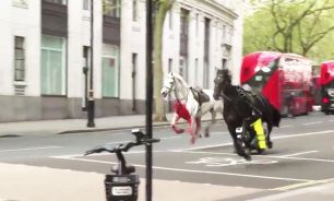 Caballos del ejército se escapan y corren por las calles de Londres