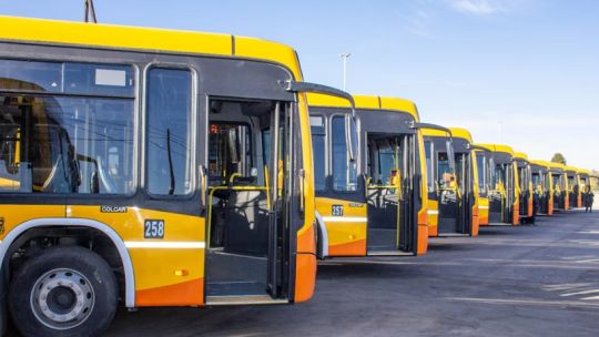 Transporte urbano: Cómo son las nuevas unidades que incorporará Coniferal