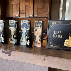 Rosell Boher Lodge en Alto Agrelo, una experiencia gastronómica sin igual en Mendoza.