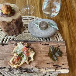 Rosell Boher Lodge en Alto Agrelo, una experiencia gastronómica sin igual en Mendoza.