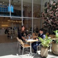 Nemoral, bienestar y salud 