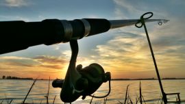 Pejerrey: técnicas para cada ámbito