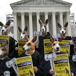 Activistas vestidos como un "tribunal canguro" se manifiestan frente a la Corte Suprema de Estados Unidos, mientras el tribunal se prepara para escuchar argumentos sobre la inmunidad del expresidente estadounidense Donald Trump, en Washington, DC. | Foto:Mandel Ngan / AFP