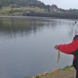 Accesibles para muchos desde distintos puntos, las lagunas del centro bonaerense son una atracción para los pescadores.