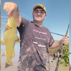 Variedad de especies en Santa Fe. Desde dorados hasta surubíes, pasando por palometas, amarillos, moncholos, mandubíes y dientudos. 