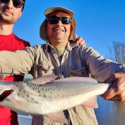 Variedad de especies en Santa Fe. Desde dorados hasta surubíes, pasando por palometas, amarillos, moncholos, mandubíes y dientudos. 