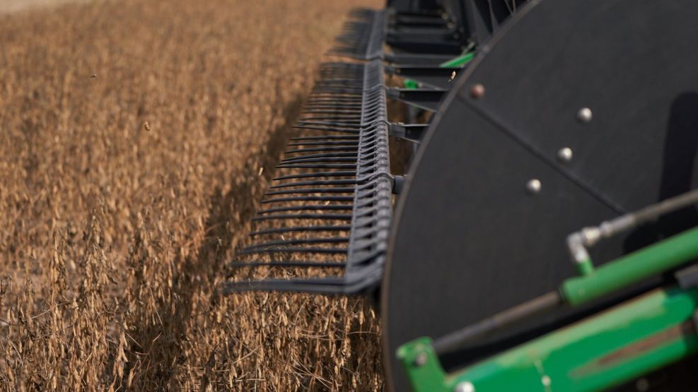 Argentina Soy Crop Forecast Slashed To Smallest On Record