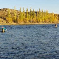 A partir de esta fecha se acentúan los trabajos de control y fiscalización en los ríos y lagos para resguardar el recurso ictícola y evitar la pesca furtiva.