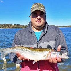 El pescado, en tierra firme fue pesado, acusando en la balanza los 2,295 kg, todo un récord en las lagunas de Villa Mercedes.