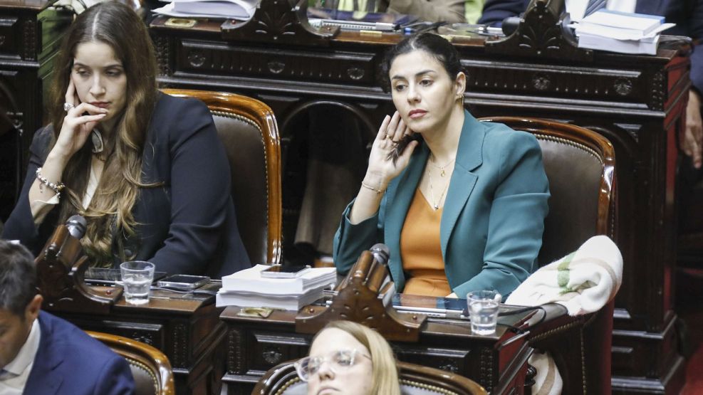Marcela Pagano reapareció en la Cámara de Diputados tras su internación: "A la gilada y a las pavas ni cabida"