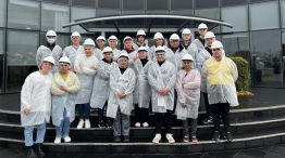 Capacitación, Empleo Joven