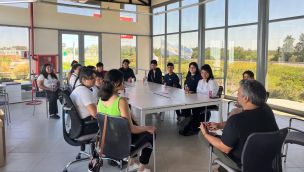 Capacitación, Empleo Joven