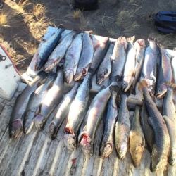 Los pescadores se enfrentan a sanciones que podrían alcanzar los $ 600.000.