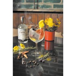 Cómo preparar el mejor gin tonic con Jardin Escondido: 10 botánicos que no pueden faltar  | Foto:CEDOC