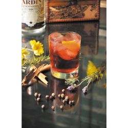 Cómo preparar el mejor gin tonic con Jardin Escondido: 10 botánicos que no pueden faltar  | Foto:CEDOC